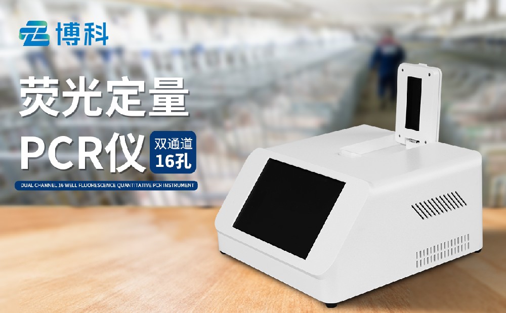 1692155384671330.jpg 5.jpg